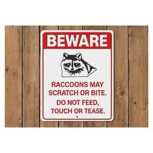 Florida Everglades Raccoon Sign Do Not Feed Touch Tease National Park Forest